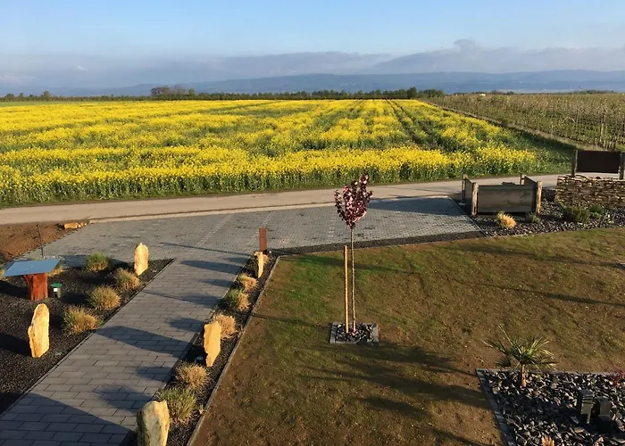 2 Im Kirschbluetenhof דירה אינגלהיים אם ריין