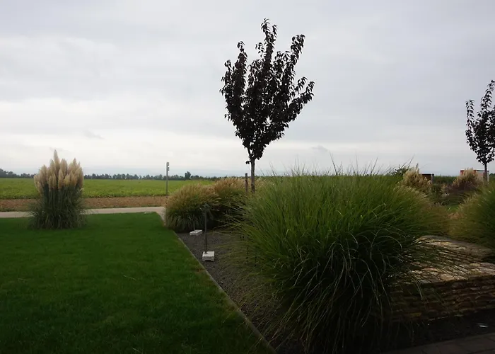 דירה 2 Im Kirschbluetenhof *